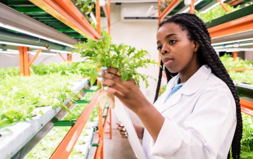 B.Sc. Environmental Science Obuasi Campus, KNUST